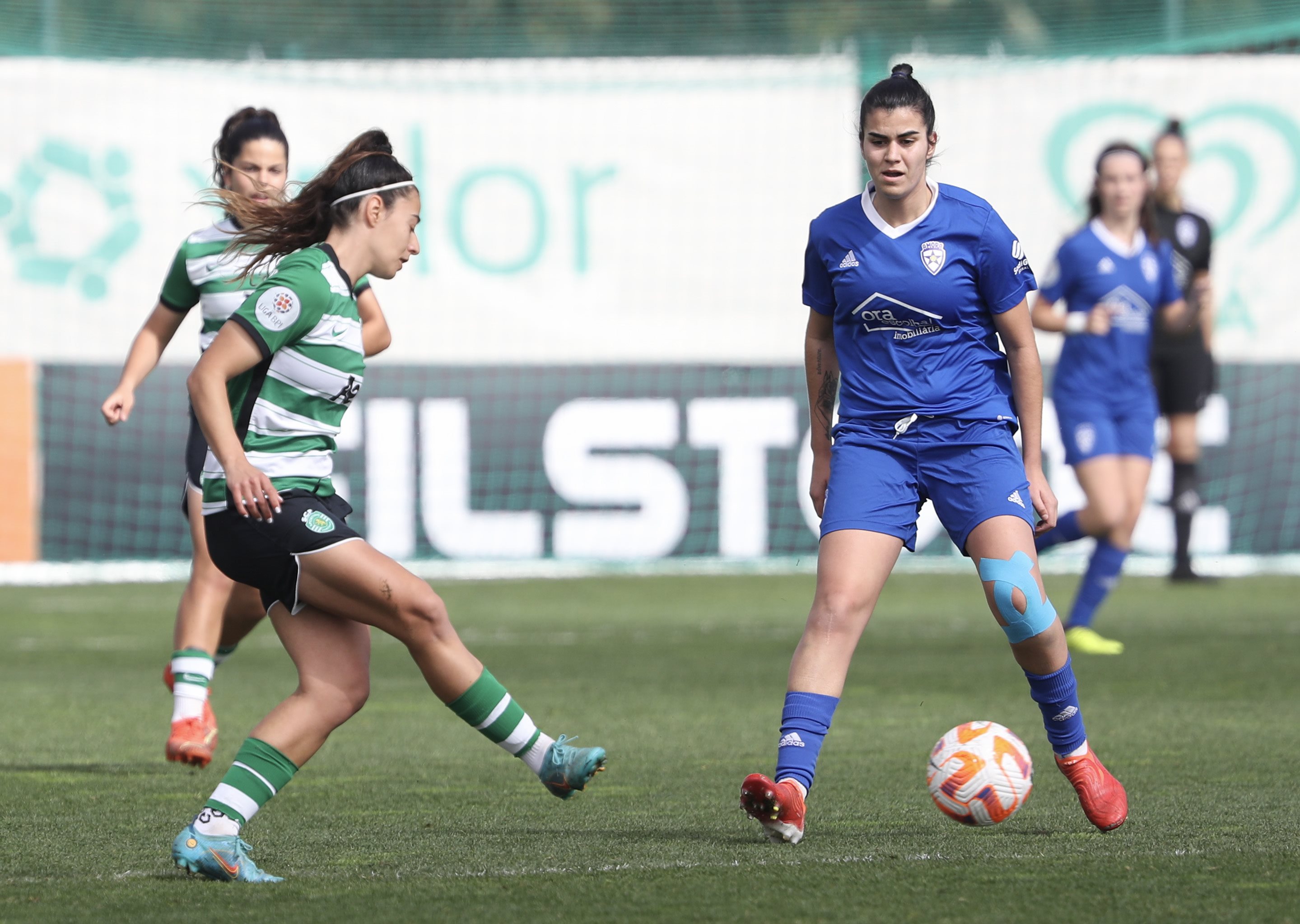 Jogo do Amora FC nas meias finais da Taça de Portugal Feminina com apoio  solidário para animais - Diário do Distrito